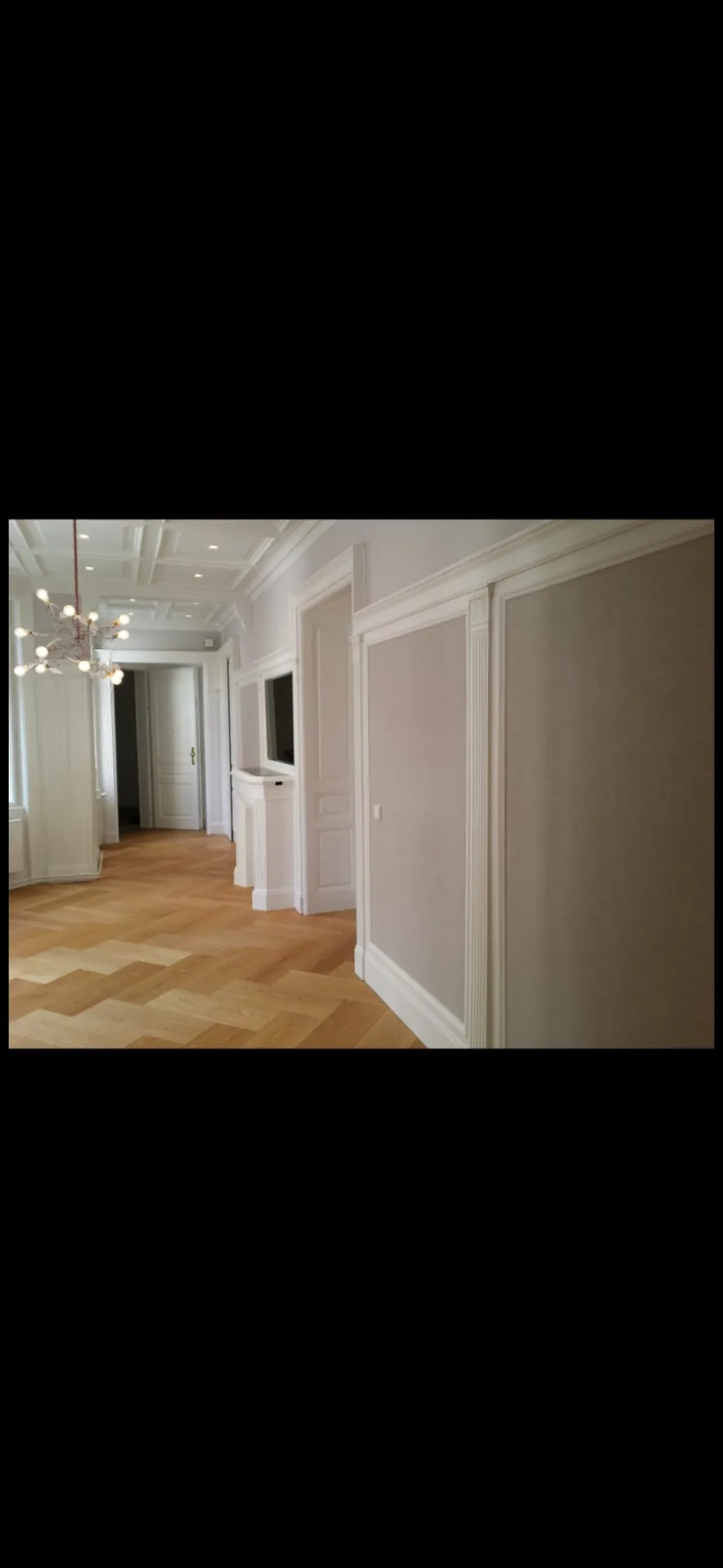Fertiger Raum mit Stuckdecke Lichtensteinstraße 1090 Wien